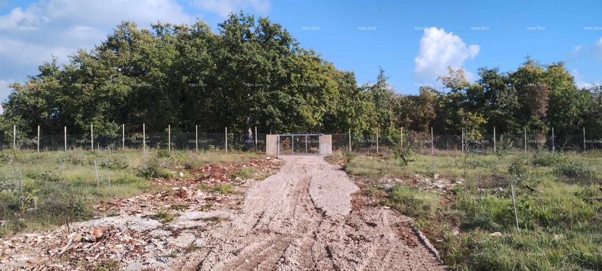 Vendita di un ampio terreno edificabile con una casa e un progetto per la costruzione di un'ulteriore villa, Svetvinčenat