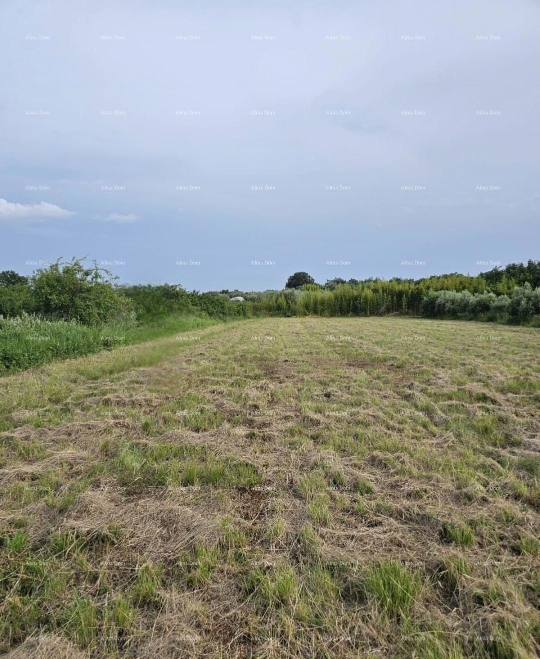 Eccellente opportunità - vendita di terreno edificabile in un'area attraente vicino al centro e al mare, Umago!