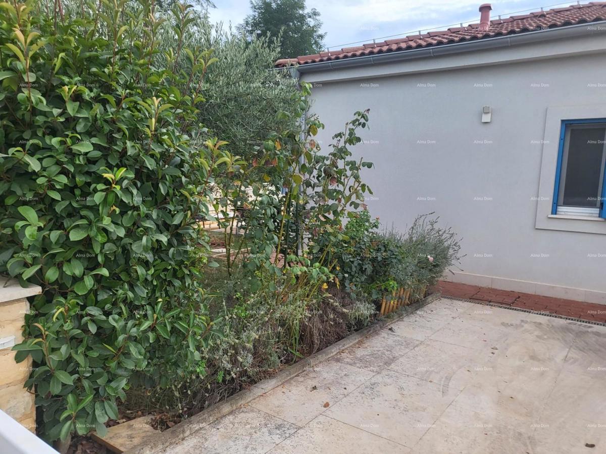 Cittanova, casa a un piano con piscina