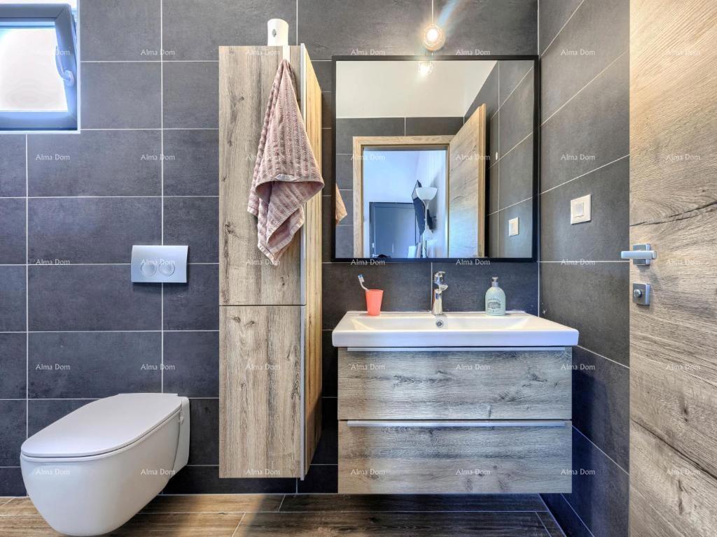 In vendita villa di lusso con piscina in un'oasi verde nei dintorni di Labin