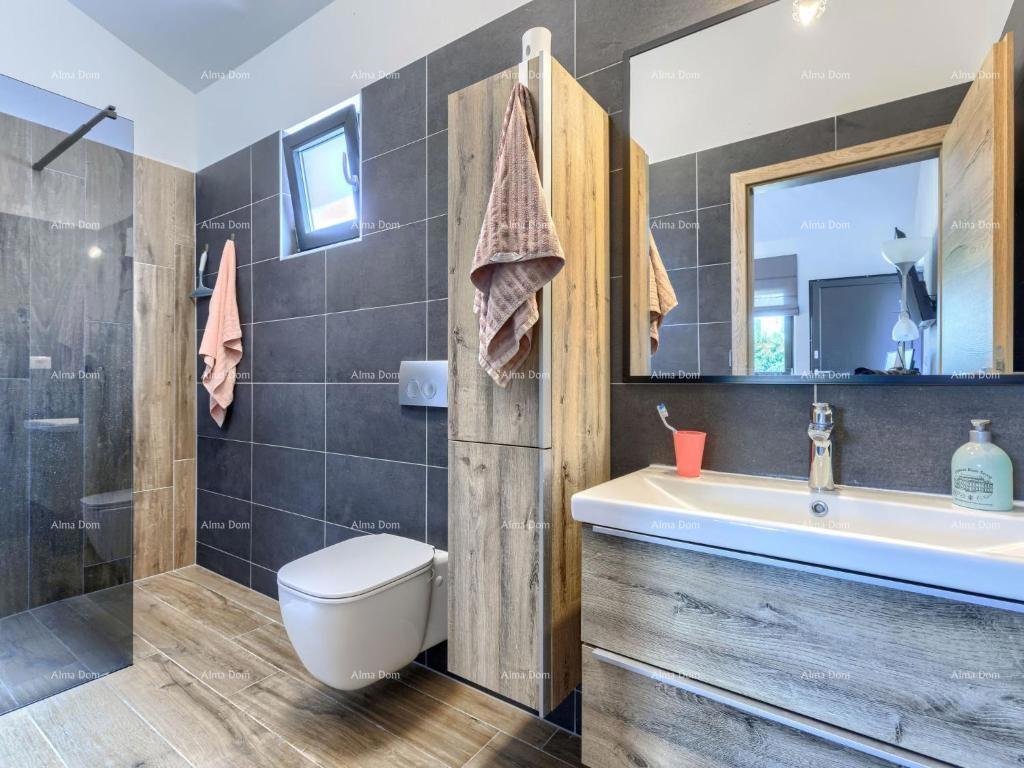 In vendita villa di lusso con piscina in un'oasi verde nei dintorni di Labin