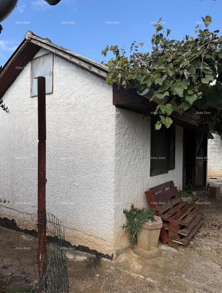 Vendita di due case legalizzate più piccole con terreno