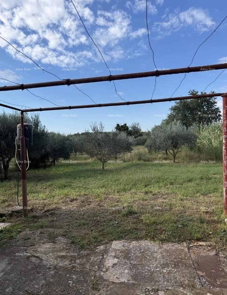 Vendita di due case legalizzate più piccole con terreno