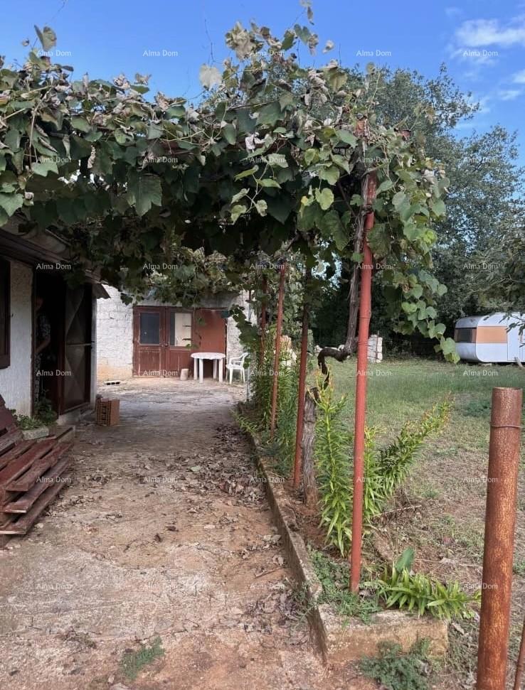 Vendita di due case legalizzate più piccole con terreno