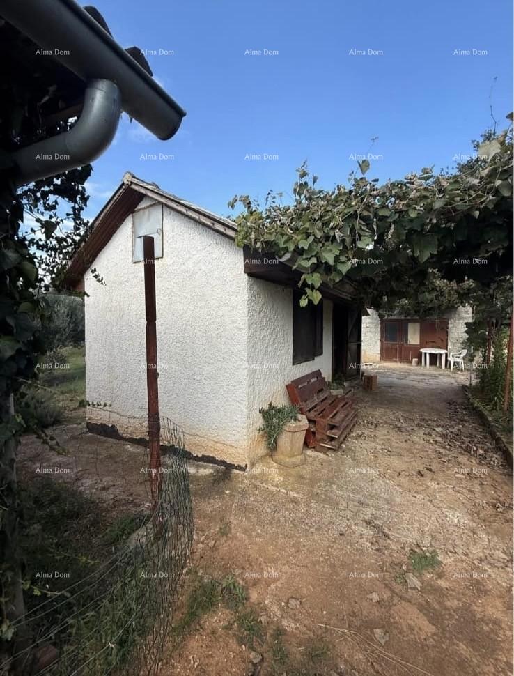 Vendita di due case legalizzate più piccole con terreno