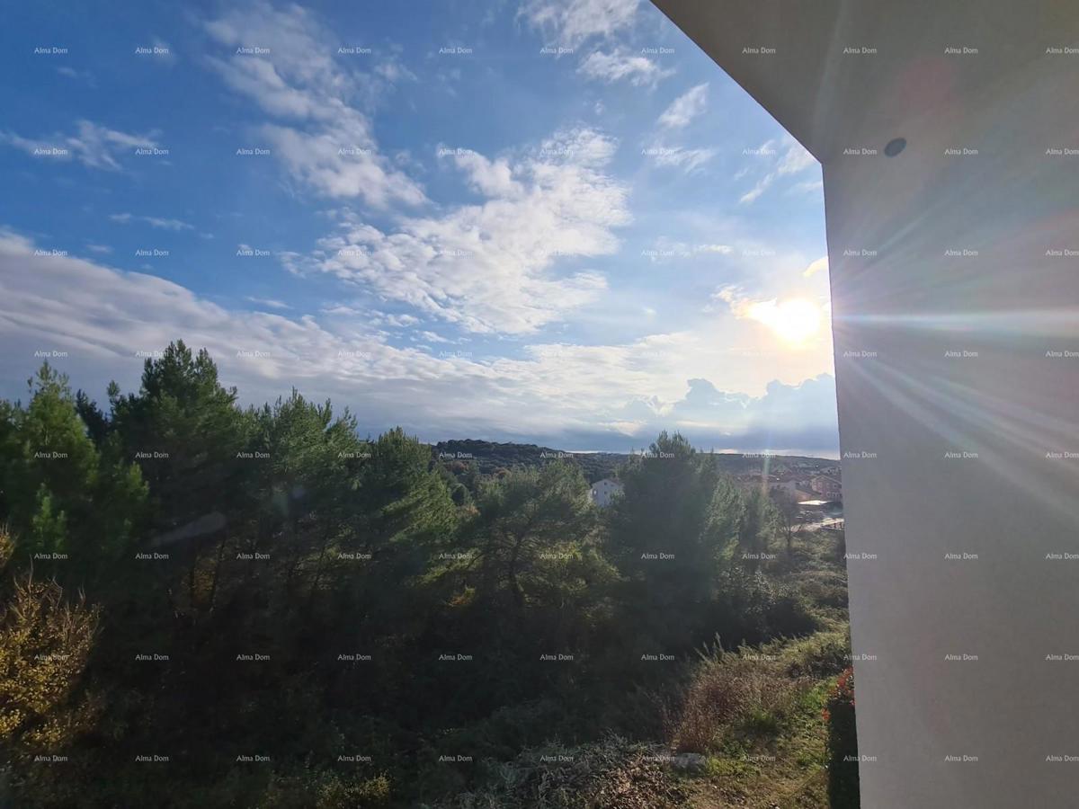 In italiano, il titolo si traduce in: