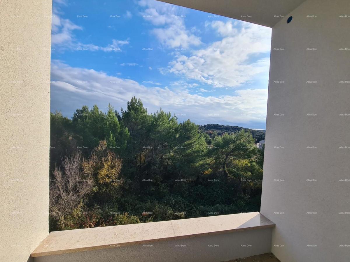 In italiano, il titolo si traduce in: