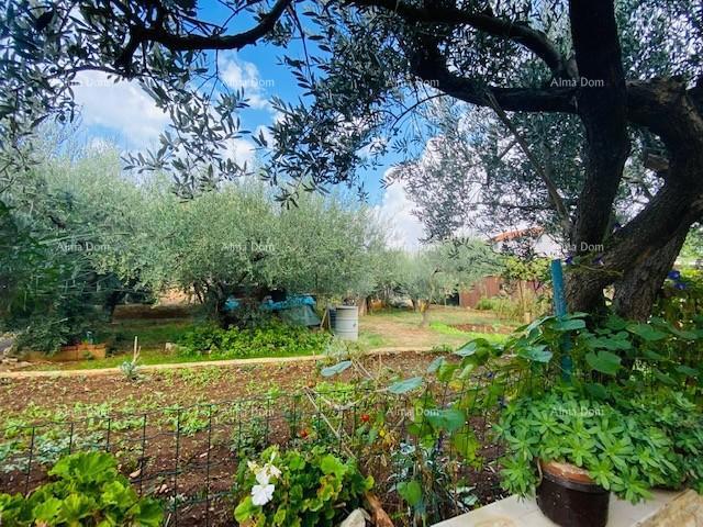 Casa spaziosa a Pola con grande cortile e numerose possibilità