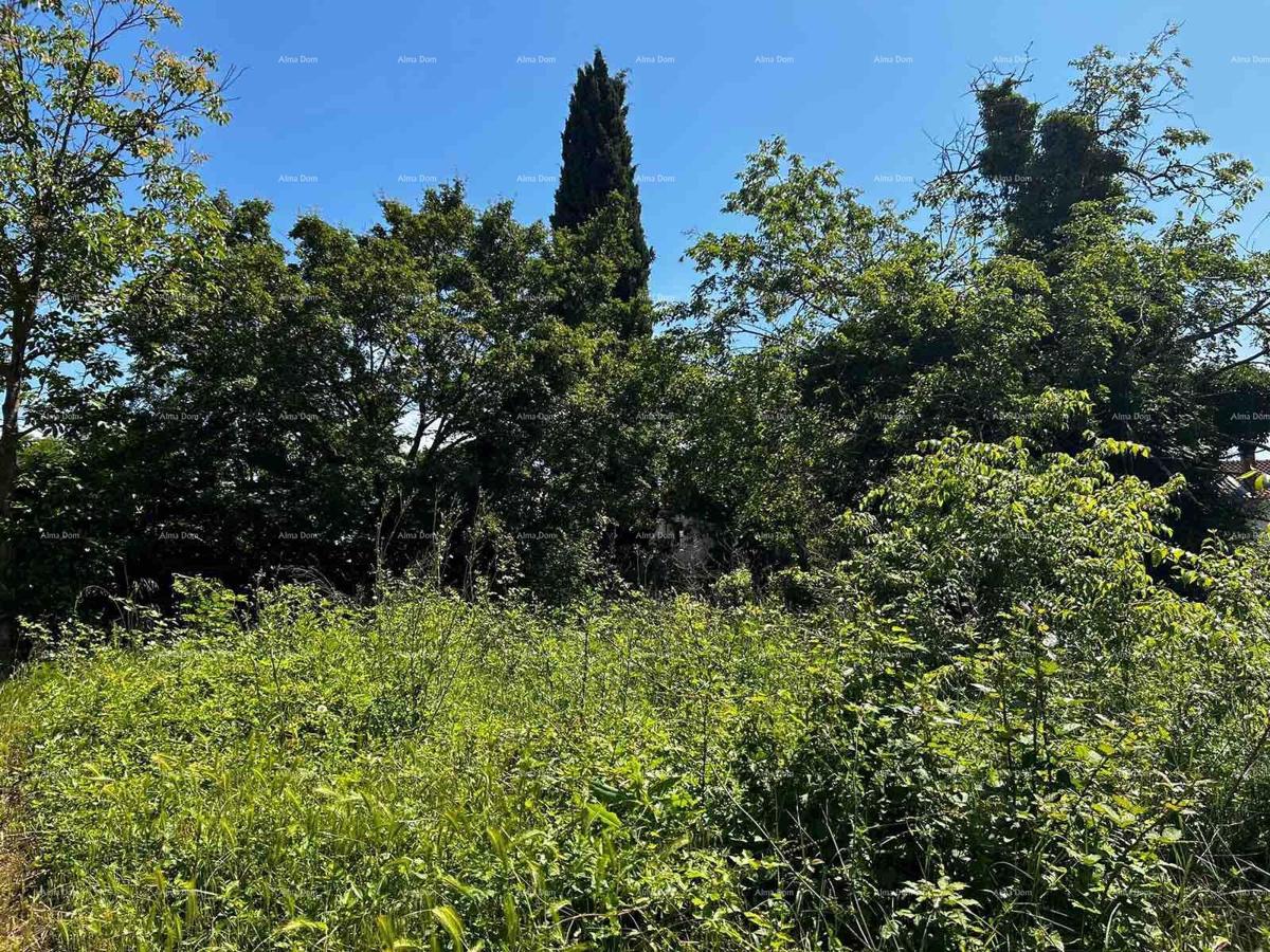 Casa in vendita con terreno vicino a Barban!