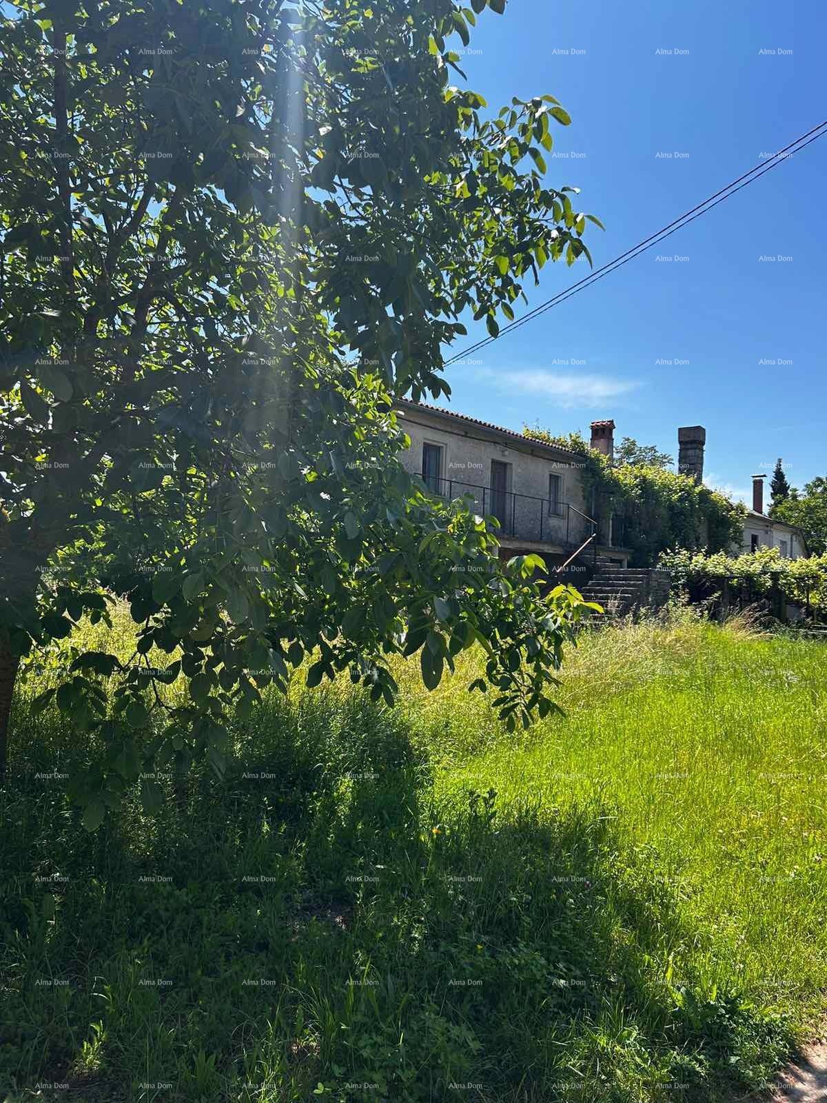 Casa in vendita con terreno vicino a Barban!