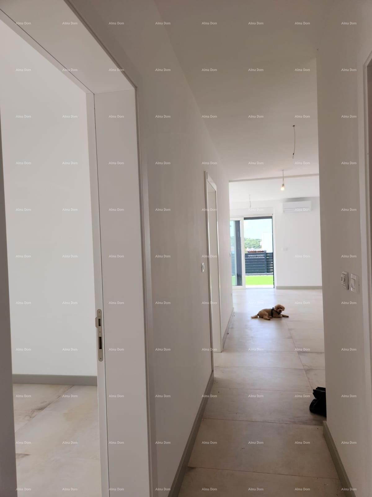 Moderna oasi con piscina e giardino privato a Banjole