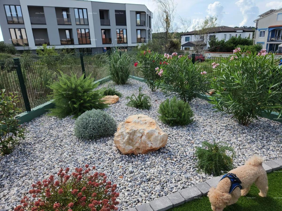 Moderna oasi con piscina e giardino privato a Banjole