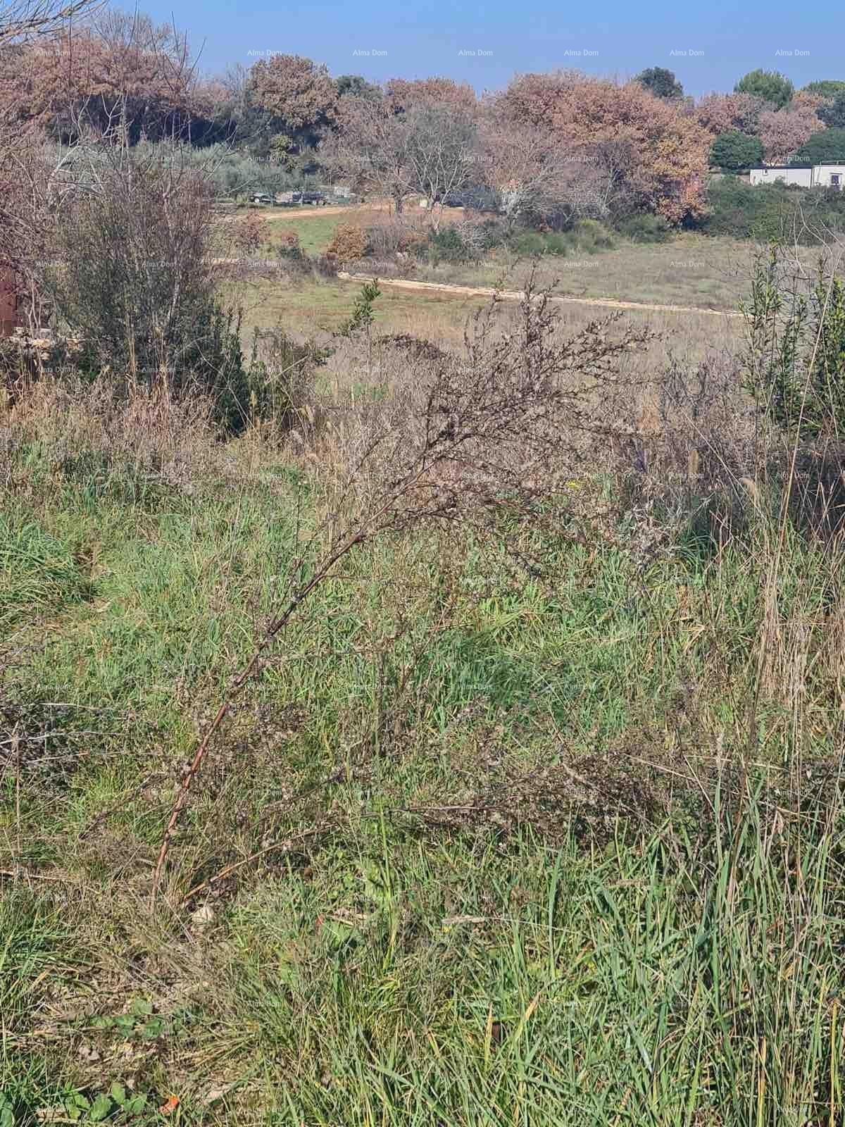 Terreno edificabile Vintijan – 800 m2 – lungo la strada