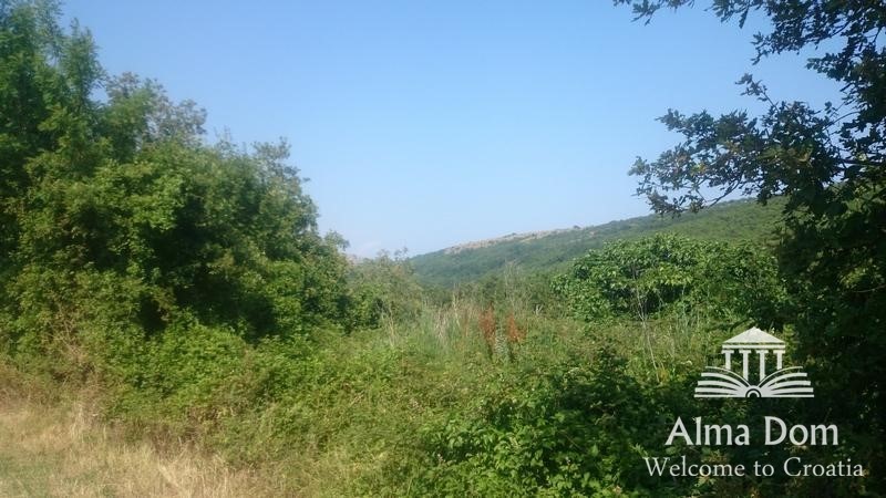 Terreno agricolo Labin