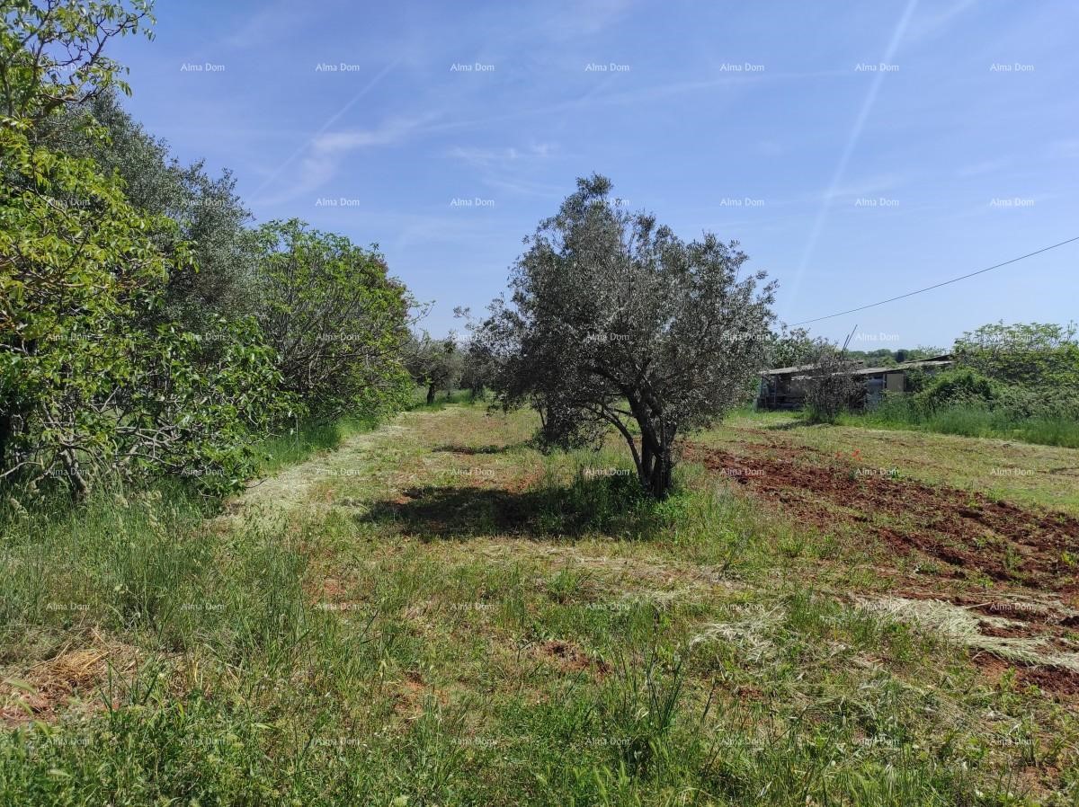 Casa in pietra Fažana