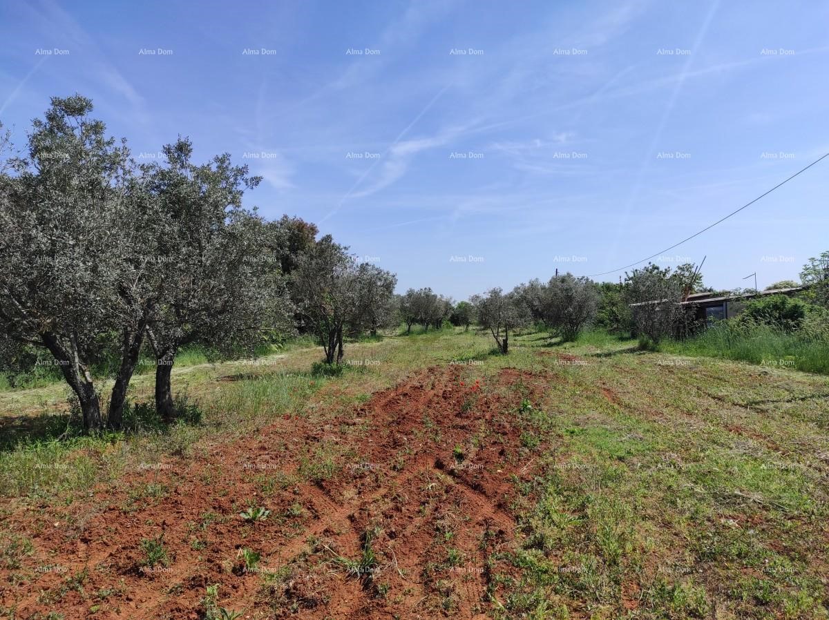 Casa in pietra Fažana