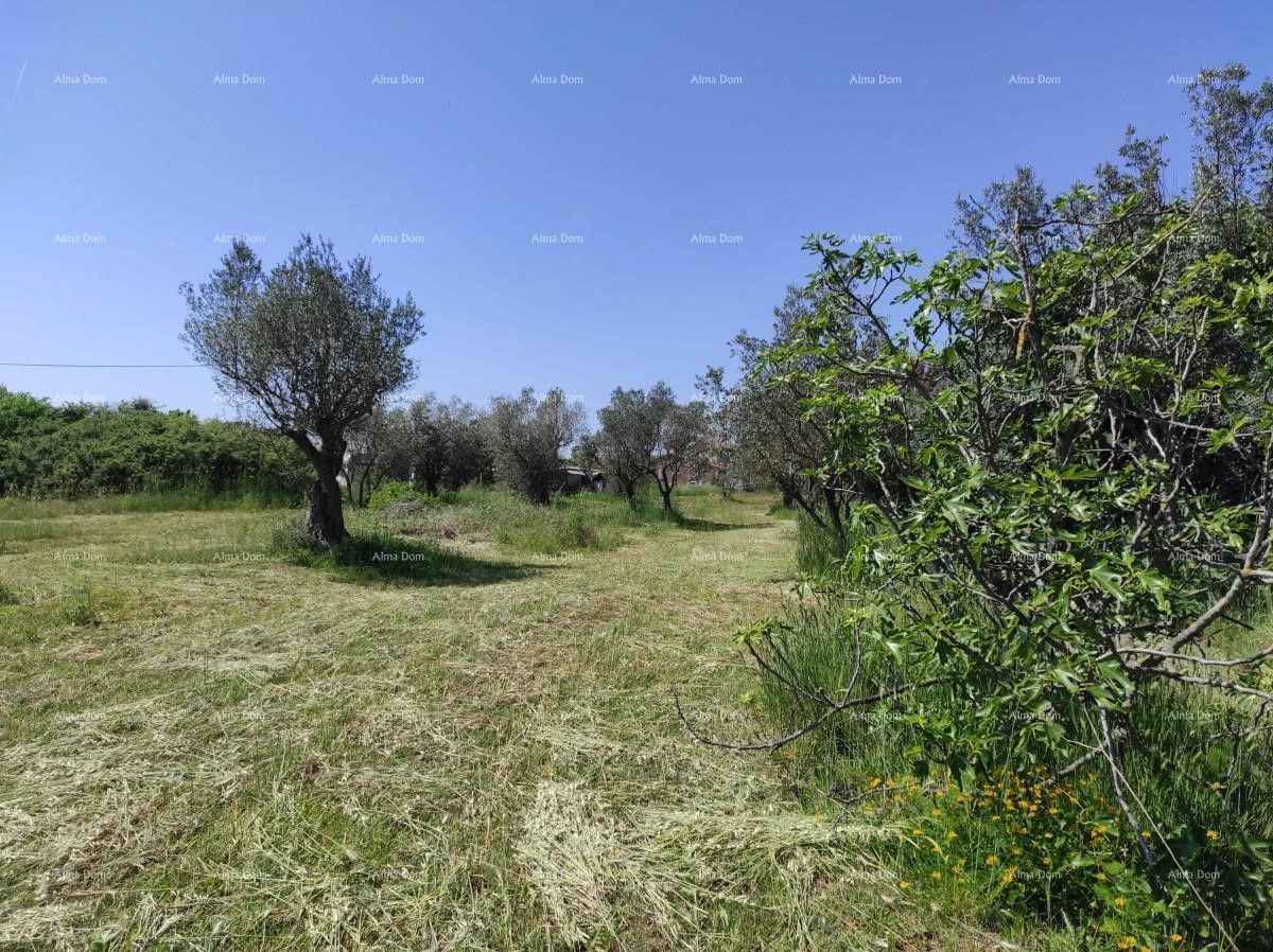 Casa in pietra Fažana