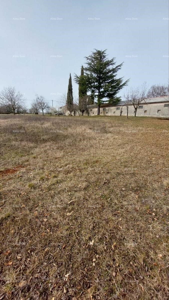 Terreno edificabile in vendita vicino a Gimino con annesso.