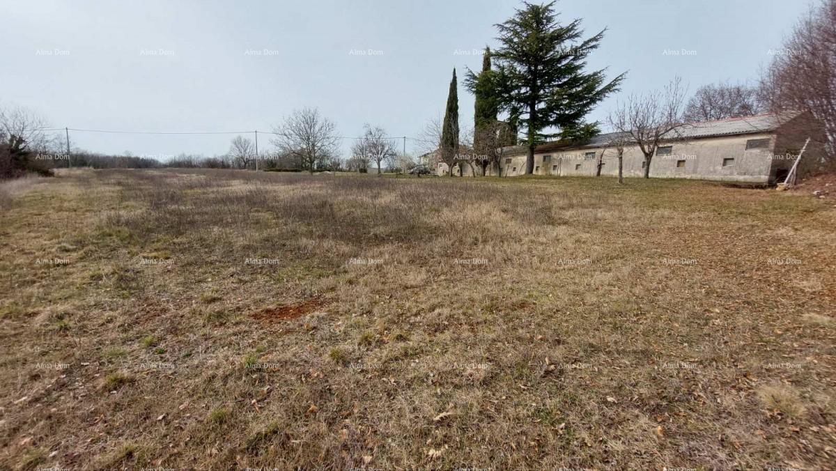 Terreno edificabile in vendita vicino a Gimino con annesso.