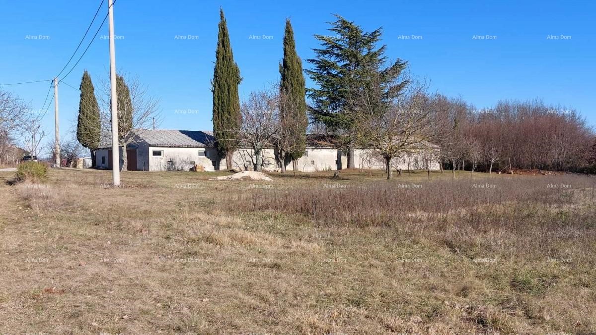 Terreno edificabile in vendita vicino a Gimino con annesso.