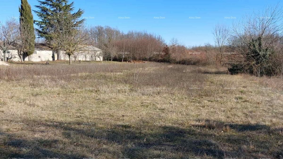 Terreno edificabile in vendita vicino a Gimino con annesso.