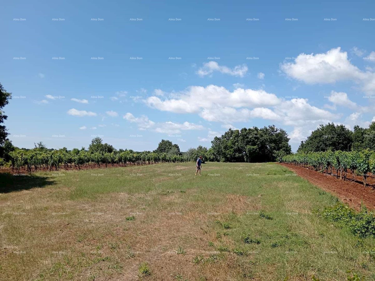 Terreno agricolo Juršići