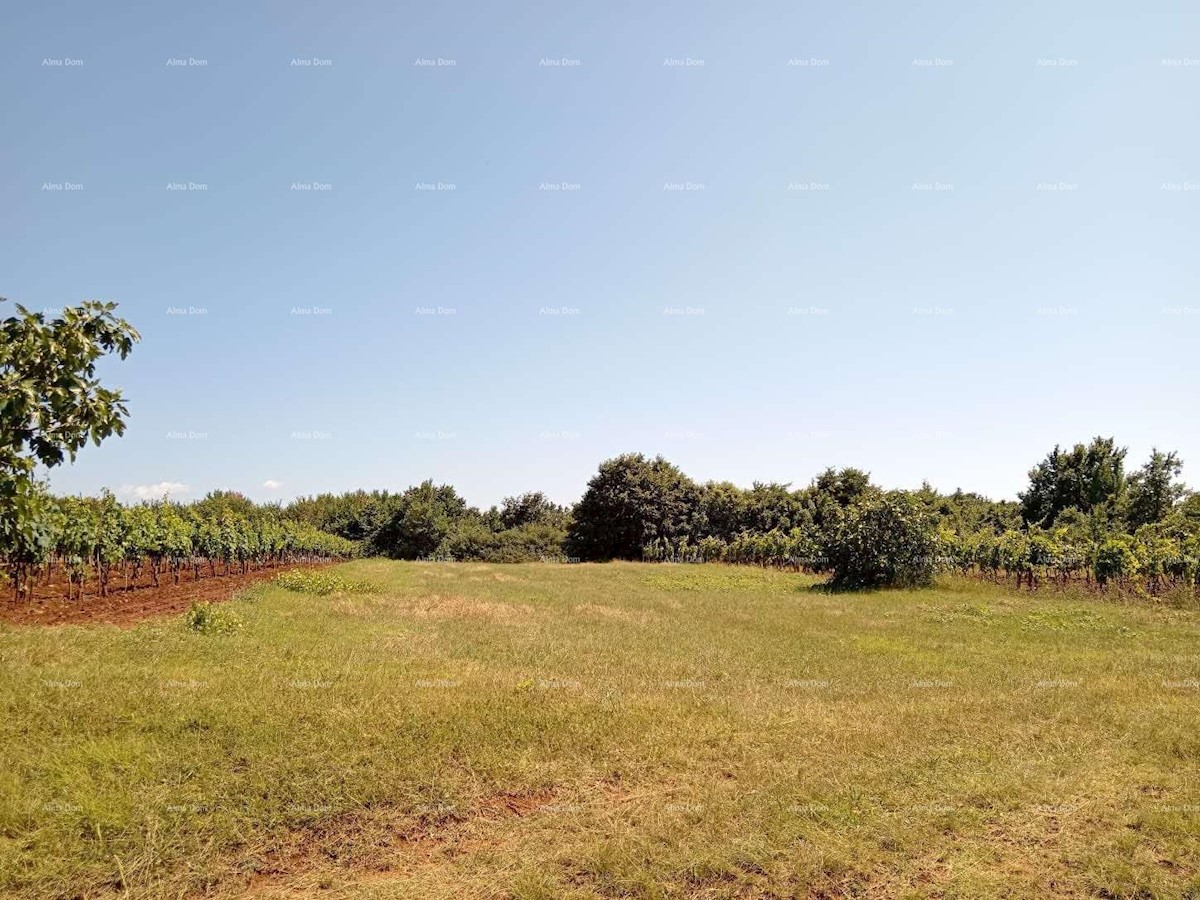 Terreno agricolo Juršići