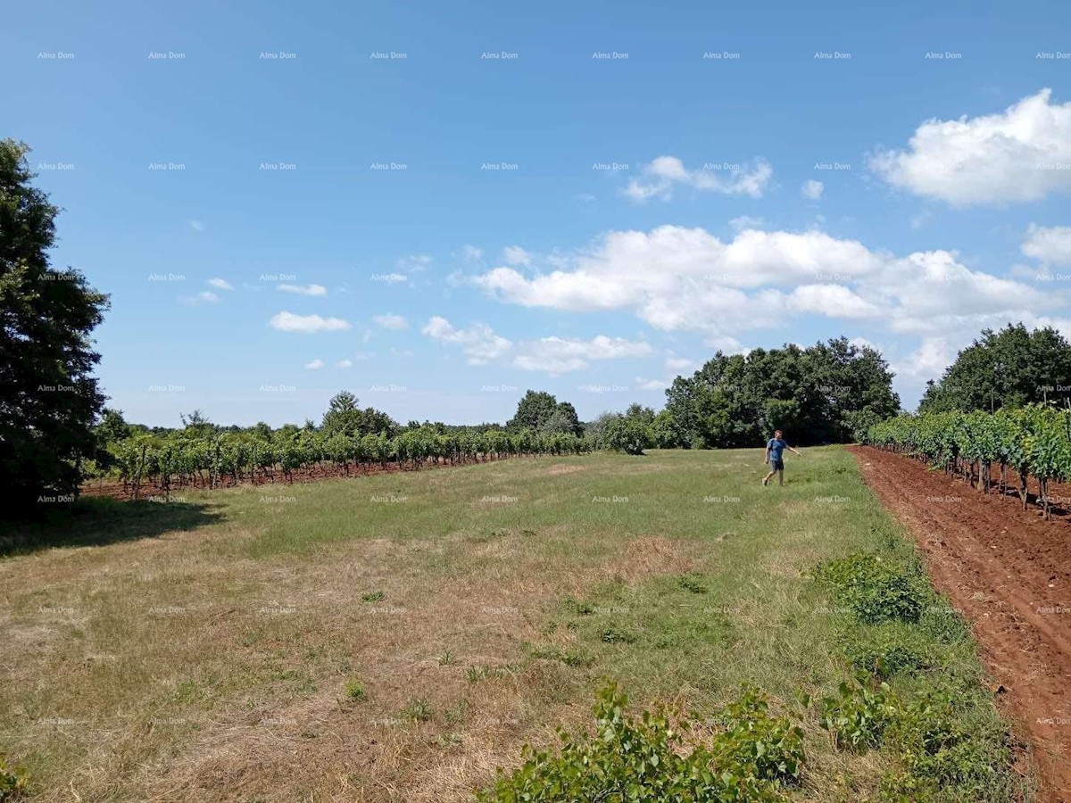 Terreno agricolo Juršići