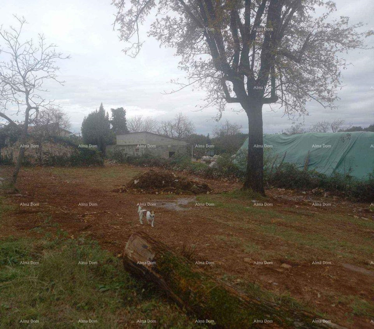 L'Istria, Gimino. È in vendita un terreno edificabile dalla spiccata antichità.