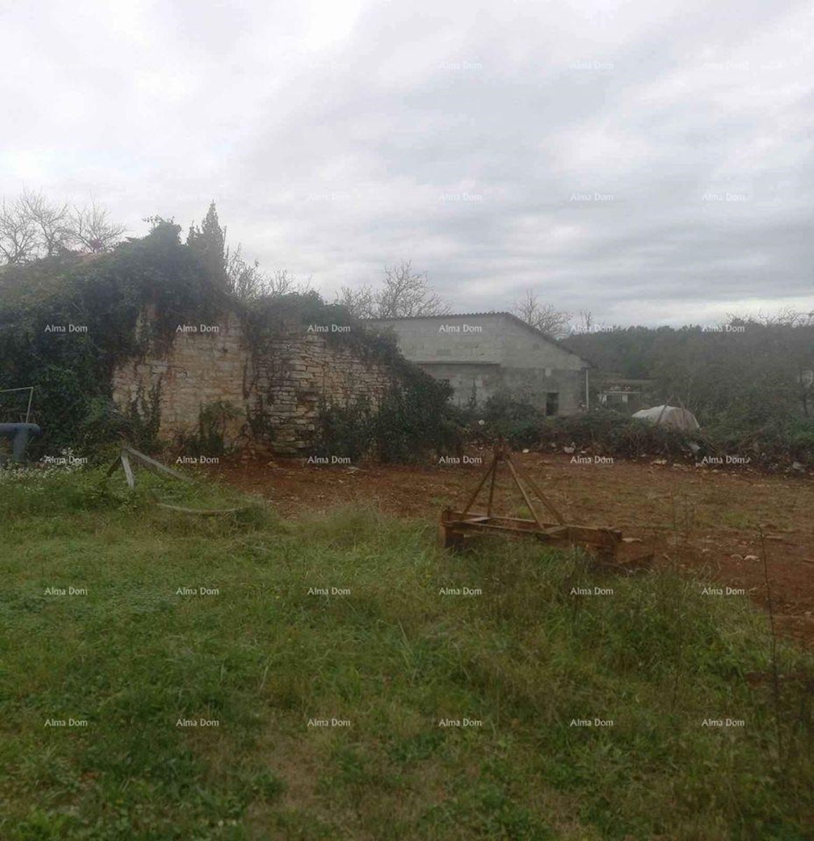 L'Istria, Gimino. È in vendita un terreno edificabile dalla spiccata antichità.