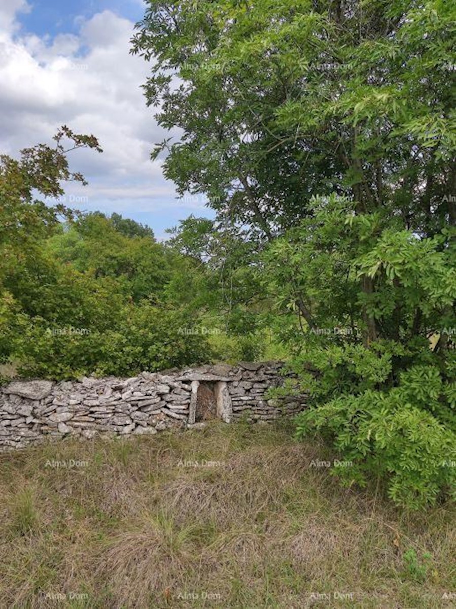 Terreno edificabile, Filipana.