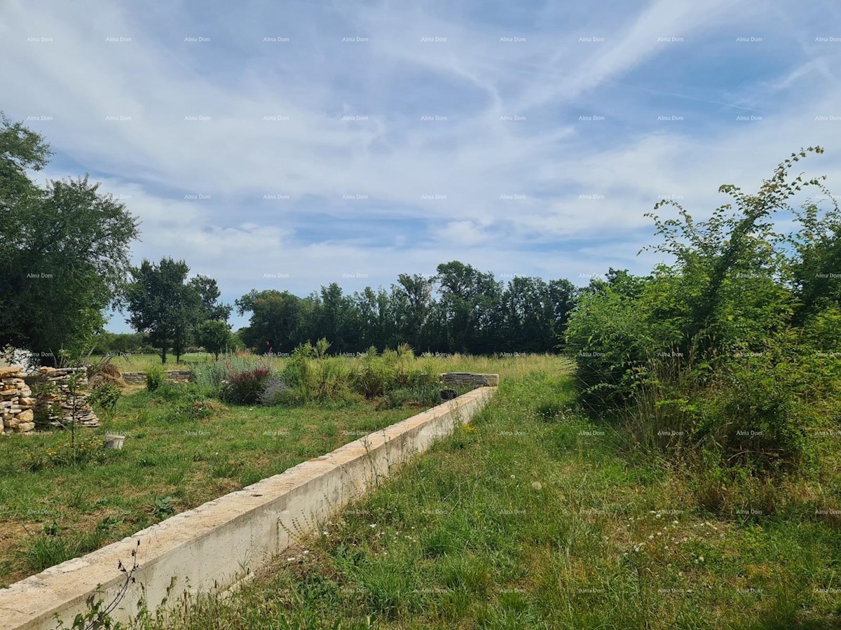 Vendiamo terreno edificabile a Loborica