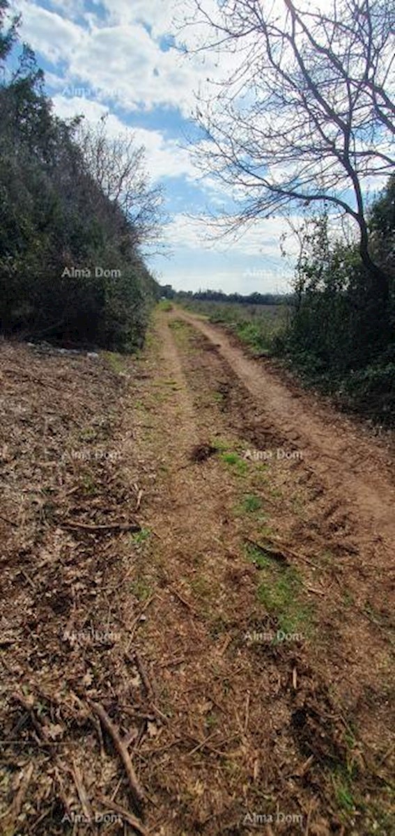 Terreno agricolo in vendita, Ližnjan