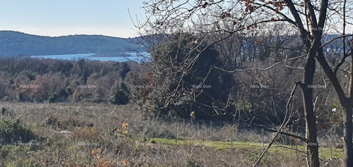 Terreno agricolo in vendita, Ližnjan