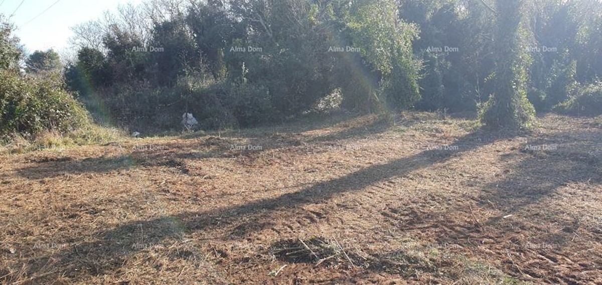 Terreno agricolo in vendita, Ližnjan