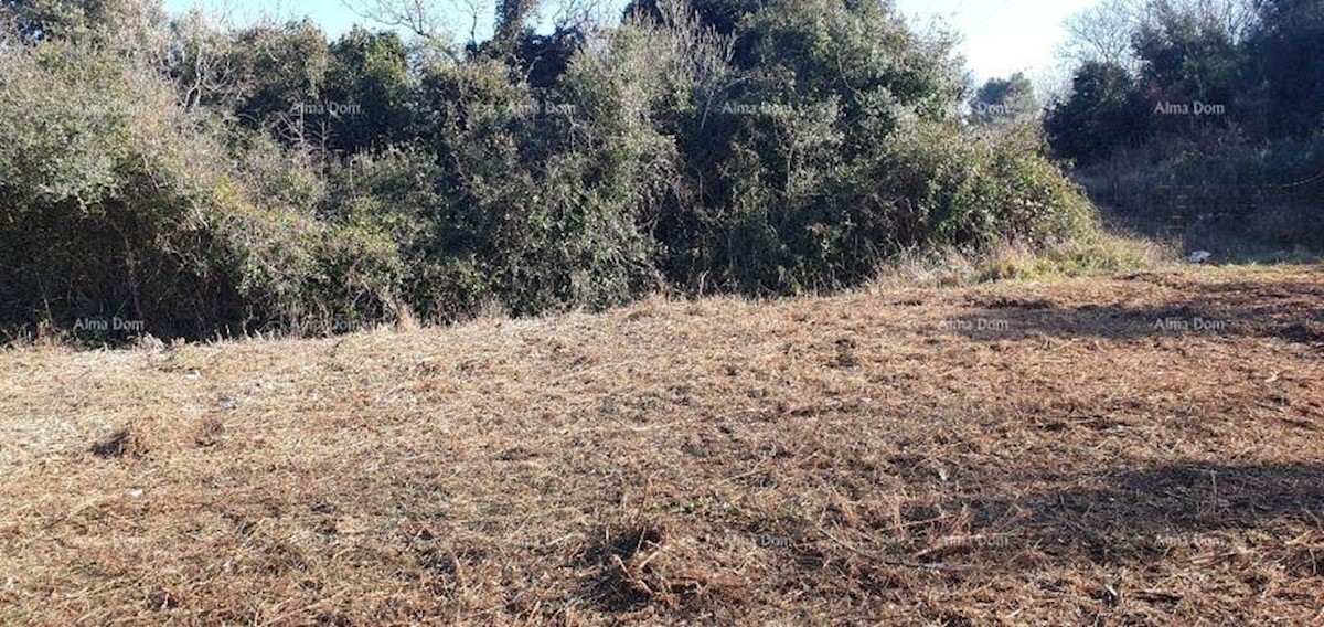 Terreno agricolo in vendita, Ližnjan