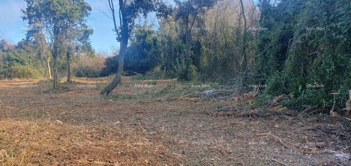 Terreno agricolo in vendita, Ližnjan