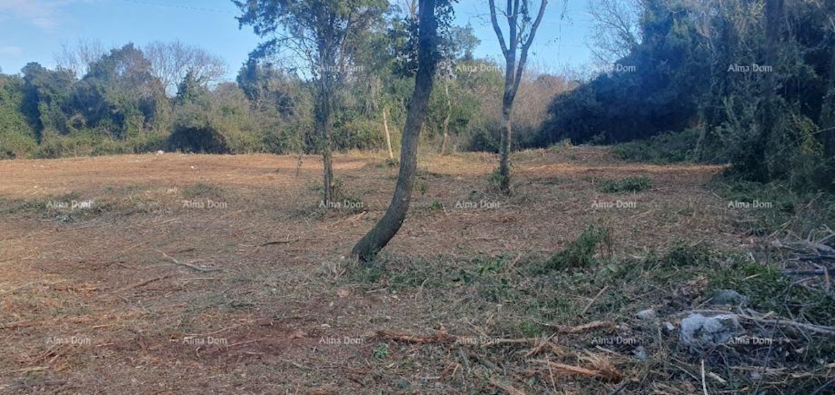 Terreno agricolo in vendita, Ližnjan