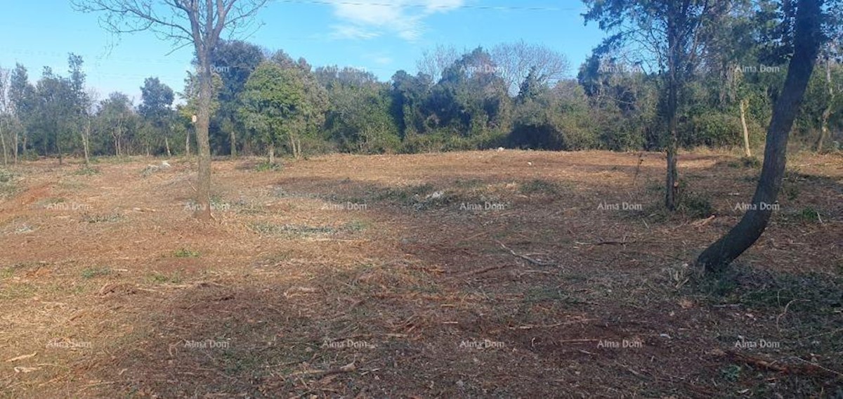 Terreno agricolo in vendita, Ližnjan