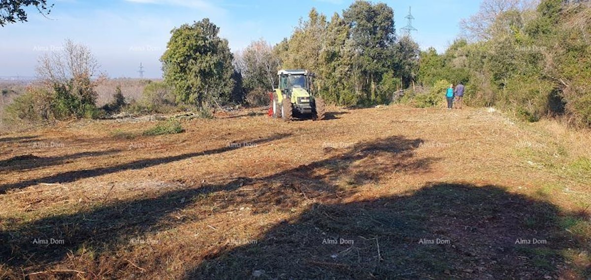 Terreno agricolo in vendita, Ližnjan