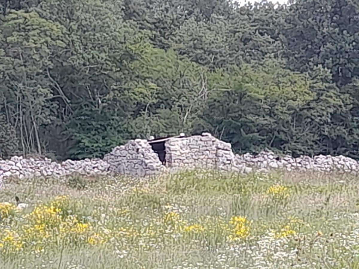 Terreno agricolo Rovinj