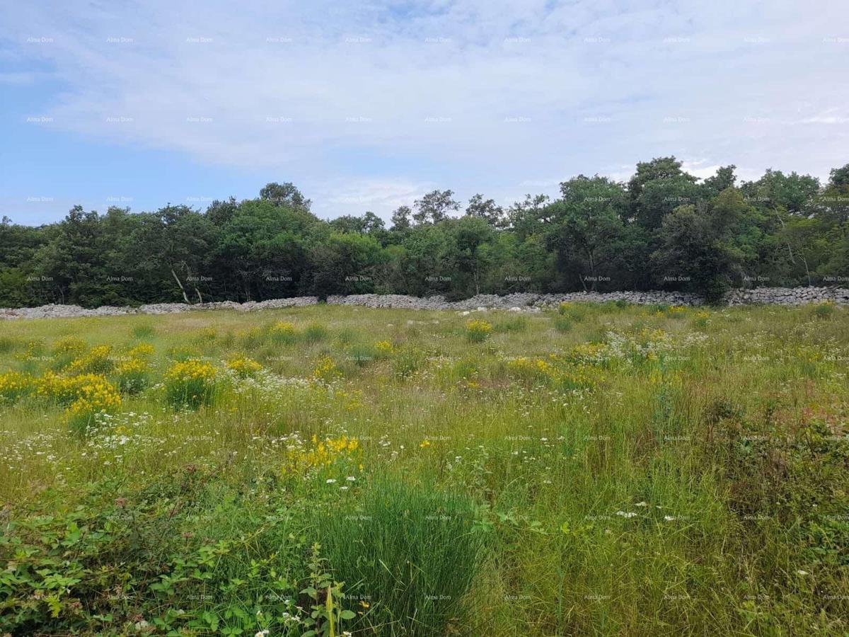 Terreno agricolo Rovinj