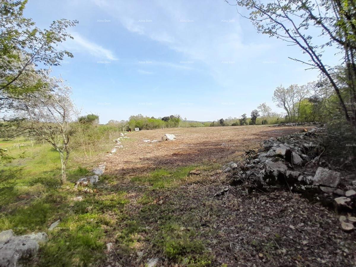 Terreno agricolo Rovinj