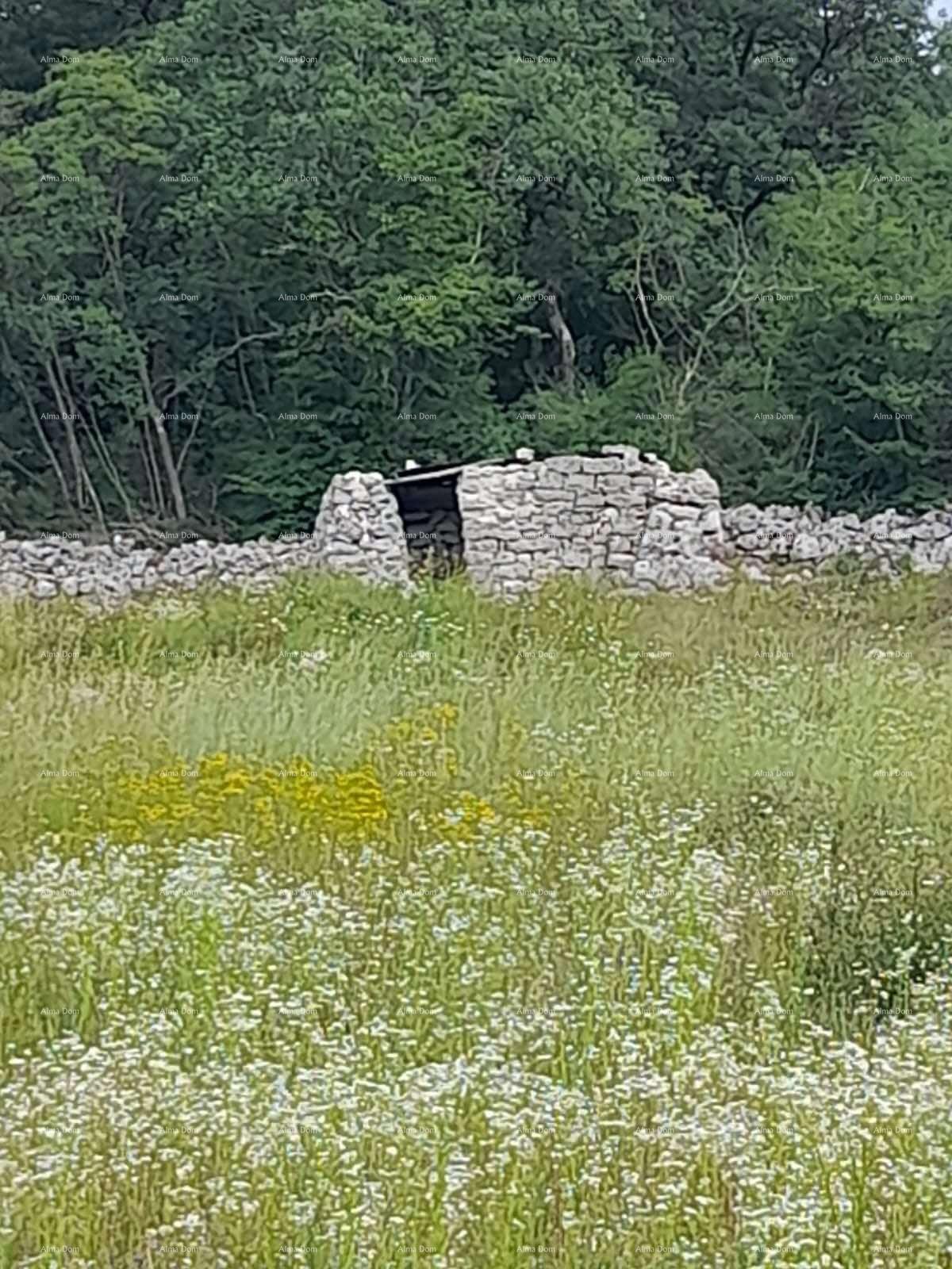 Terreno agricolo Rovinj