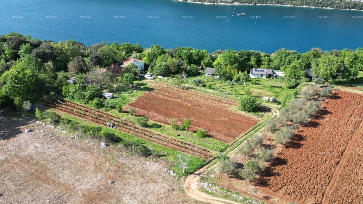 Terreno agricolo Rovinj