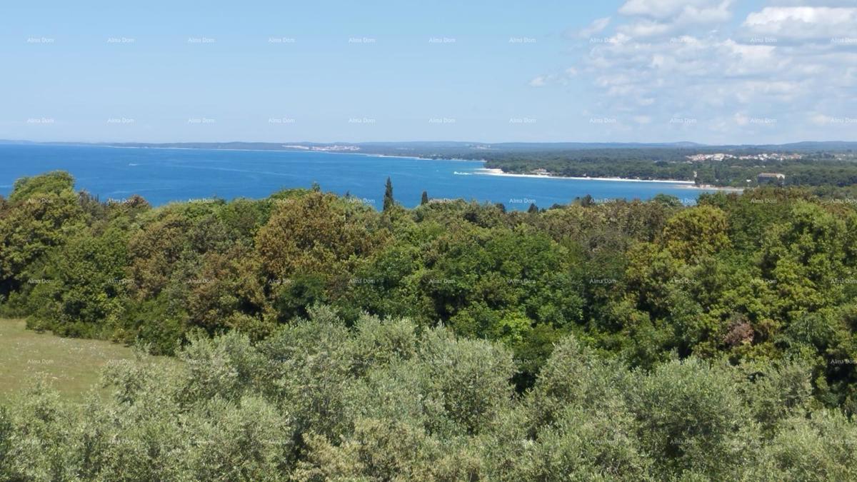 Una bella casa con piscina e vista sul mare, vicino a Fasana!