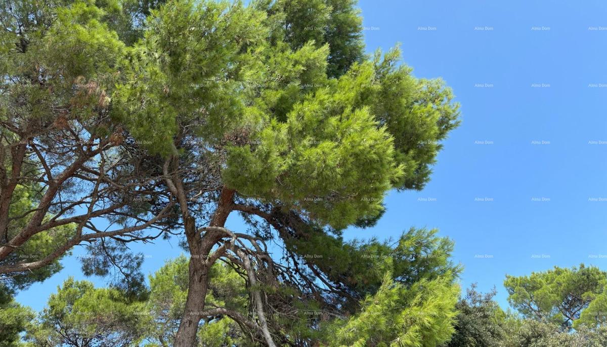 ROVIGNO - appartamento in vendita in un residence di lusso sul mare / S11