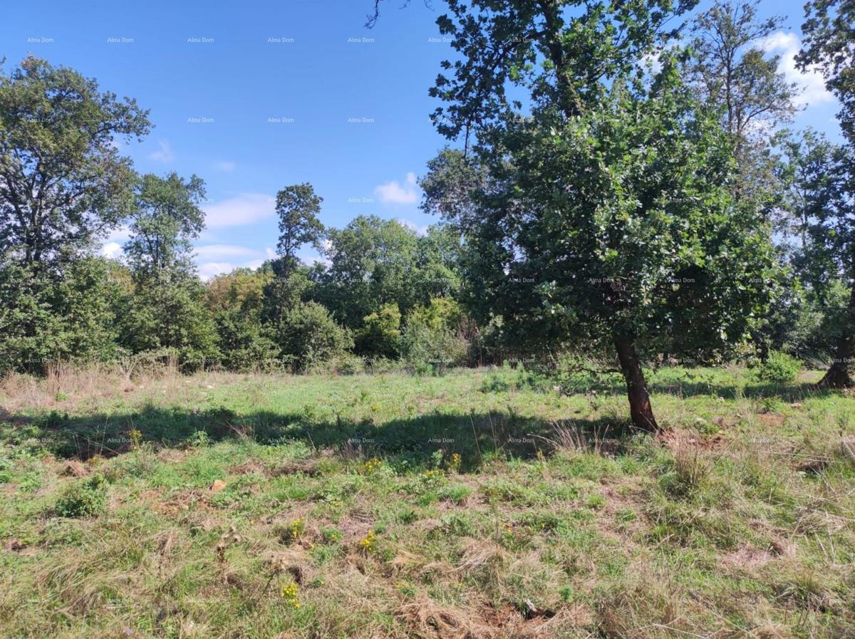 Vendita - TERRENO AGRICOLO, Pula, Valtura!