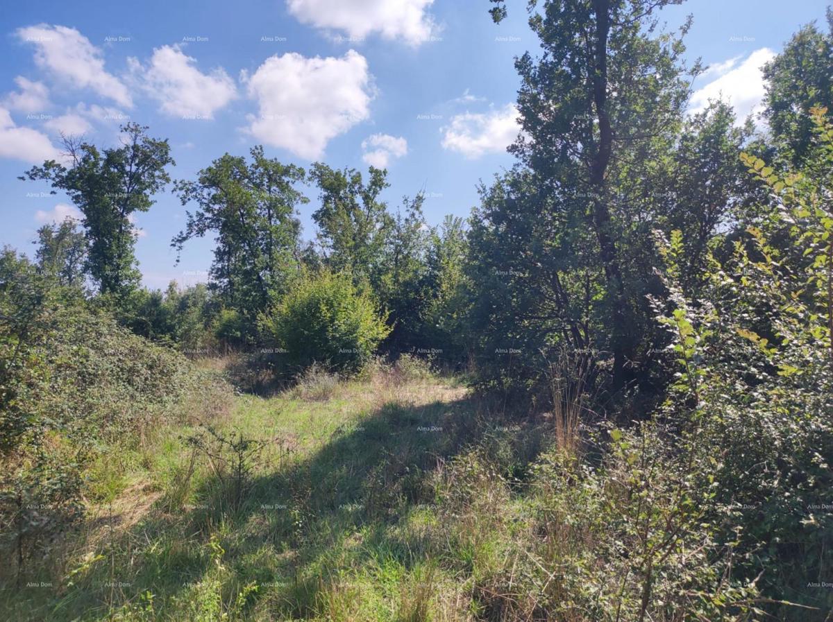 Vendita - TERRENO AGRICOLO, Pula, Valtura!