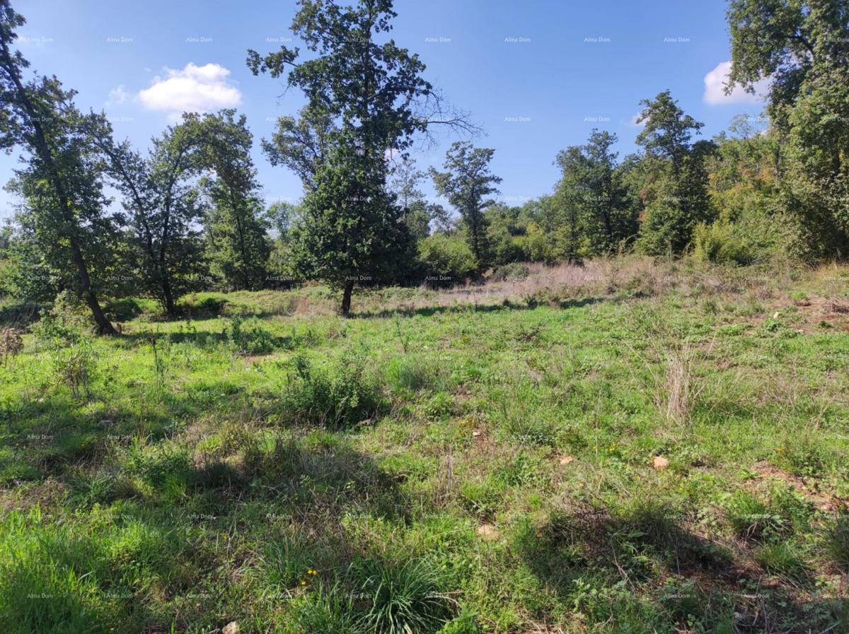 Vendita - TERRENO AGRICOLO, Pula, Valtura!